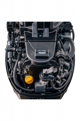 Outboard Motor Reef Rider RREF20FES_06