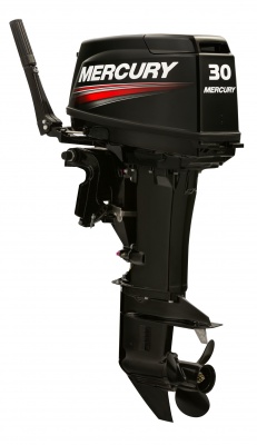 30HP TwoStroke