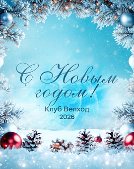 С наступающим Новым 2026 годом!