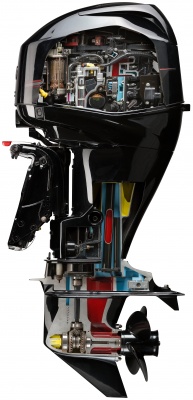60 CT Cutaway