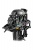 Reef Rider outboard motors RR30FFES_05