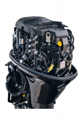 Outboard Motor Reef Rider RREF60FVEL-T_04