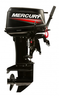 30HP TwoStroke_2